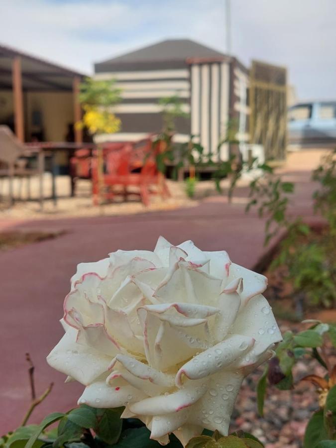 Wadi Rum Oryx Hostel & Tours Extérieur photo