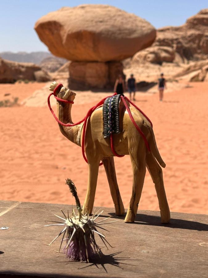 Wadi Rum Oryx Hostel & Tours Extérieur photo